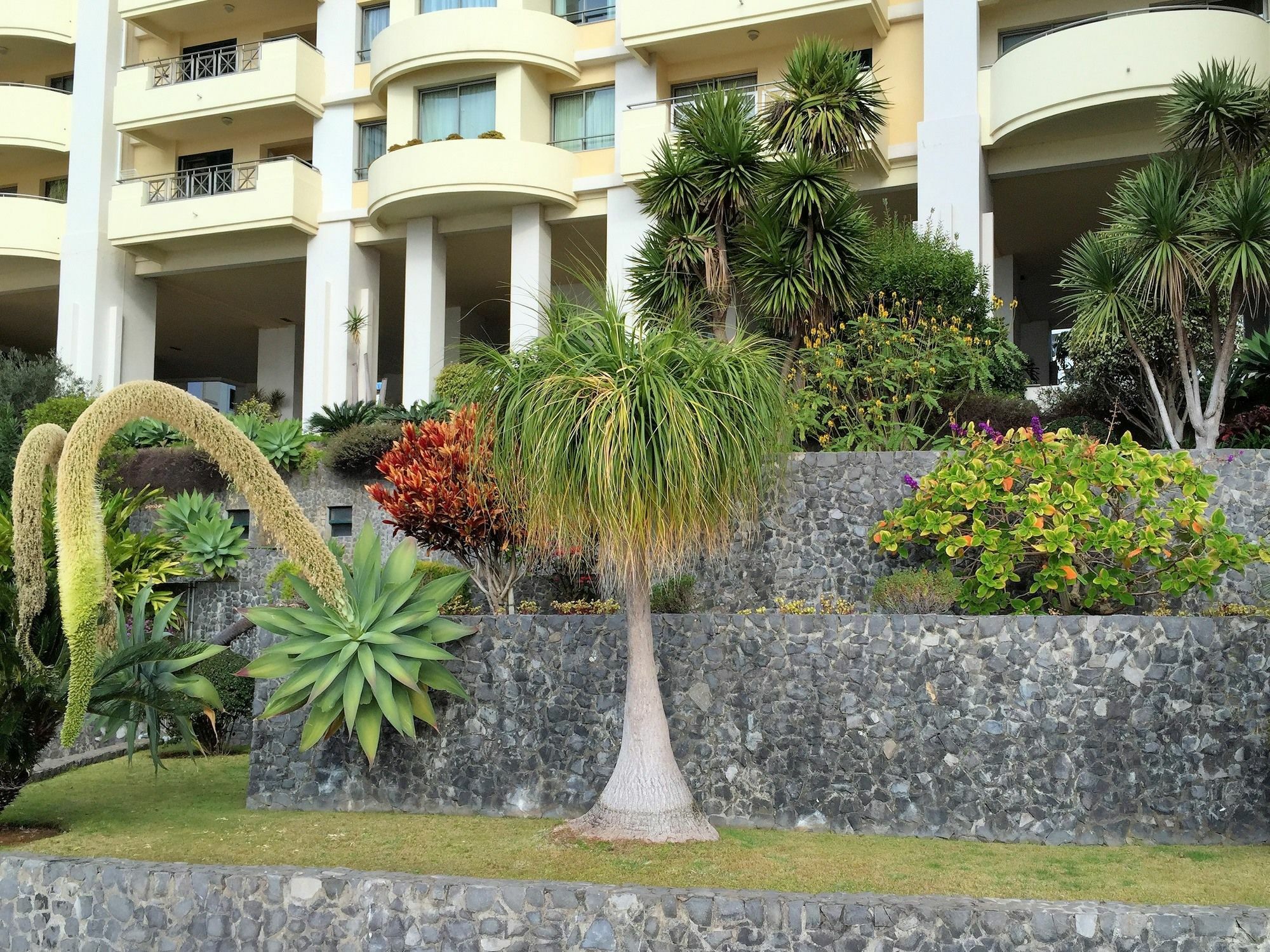 Finest Rentals - Beachfront Penthouse 丰沙尔 外观 照片